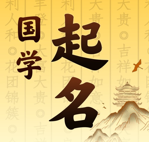 万荣国学起名 人工起名一对一